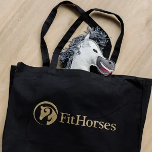 2FitHorses Speelgoedpaardje