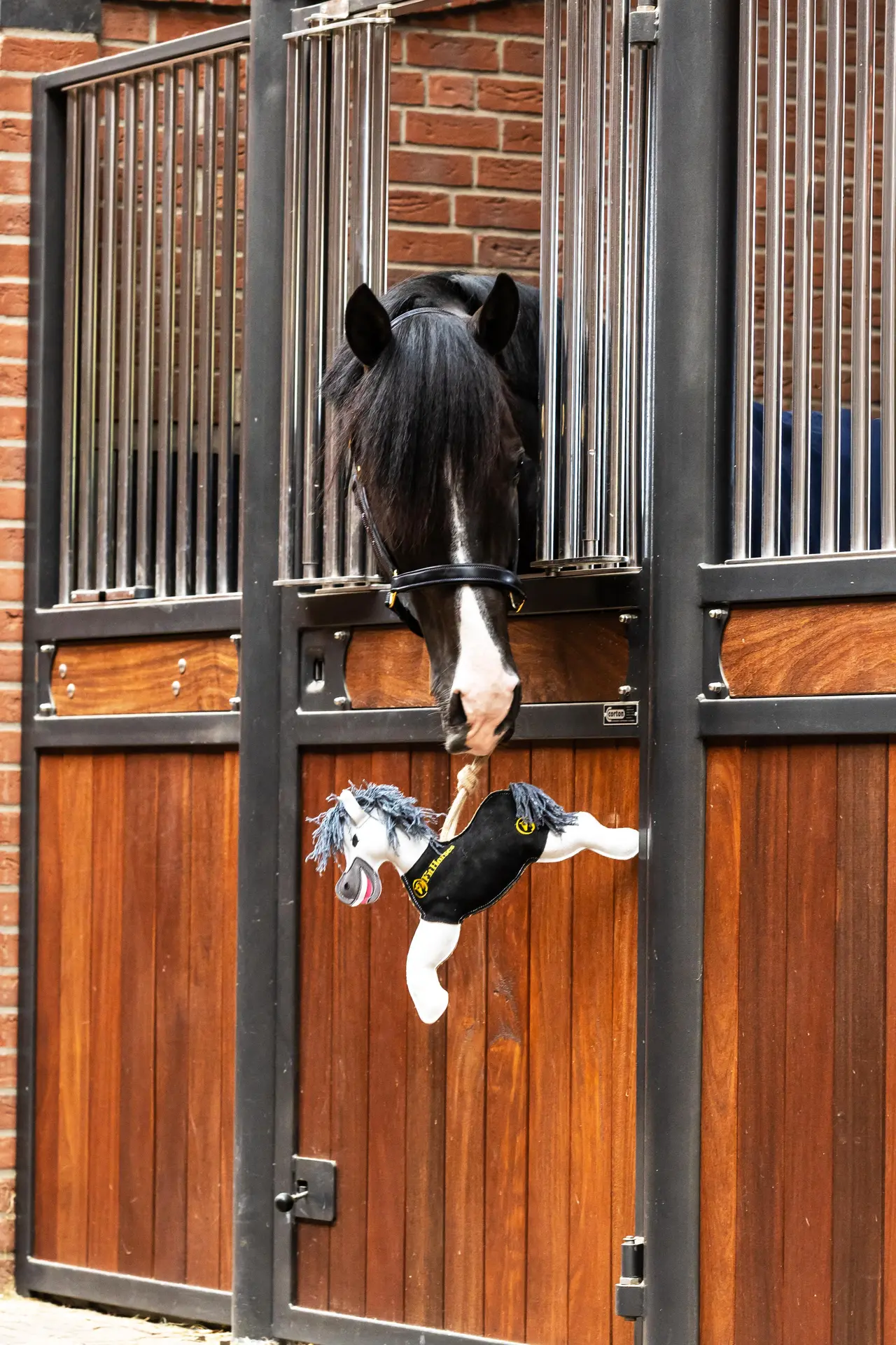 2FitHorses Speelgoedpaardje - Image 2