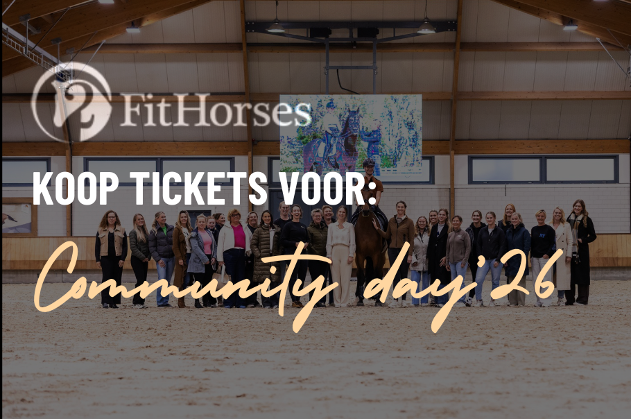 Sinterklaas frontriemen